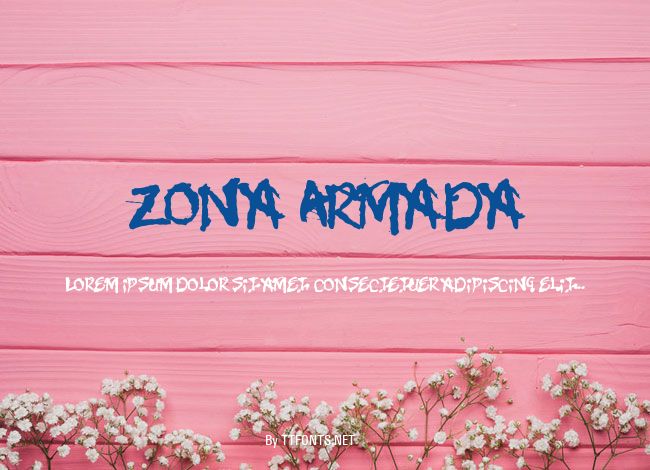 Zona Armada example